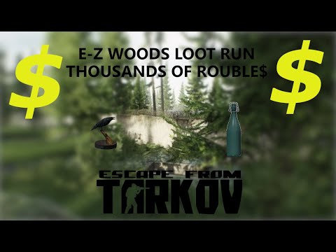Tarkov EZ 500k Woods loot run (High Survival Rate)