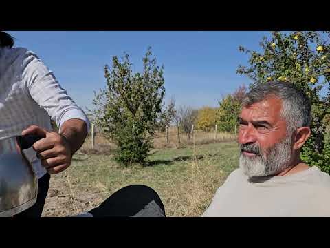 cenap Amcamın bombalar 1ci bolum