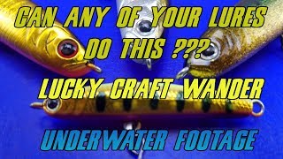 Стикбейт lucky craft wander