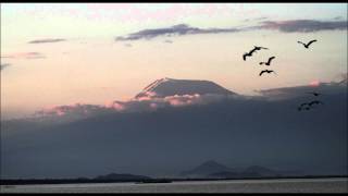 Tim  McGraw  -She's My Kind Of Rain