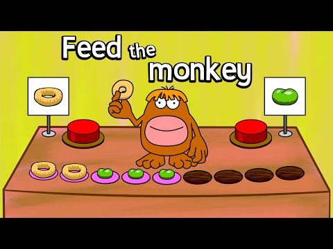 Feed the monkey Video