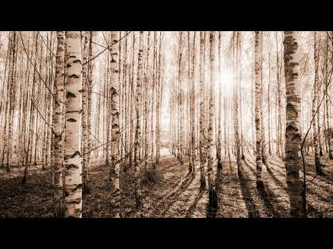 Dusan Radetić - Splet melodija i pesama