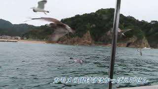 笹川流れ遊覧船