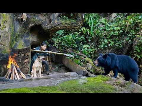 Building a Shelter Under a Tree and a Midnight Black Bear Encounter, survival alone