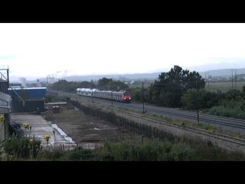 Comboio Especial n.º 91223 - Riachos