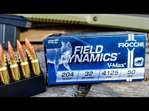 Fiocchi .204 Ruger Ammo - 100 Yard Group Test