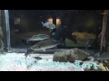 A Fish Called Bert