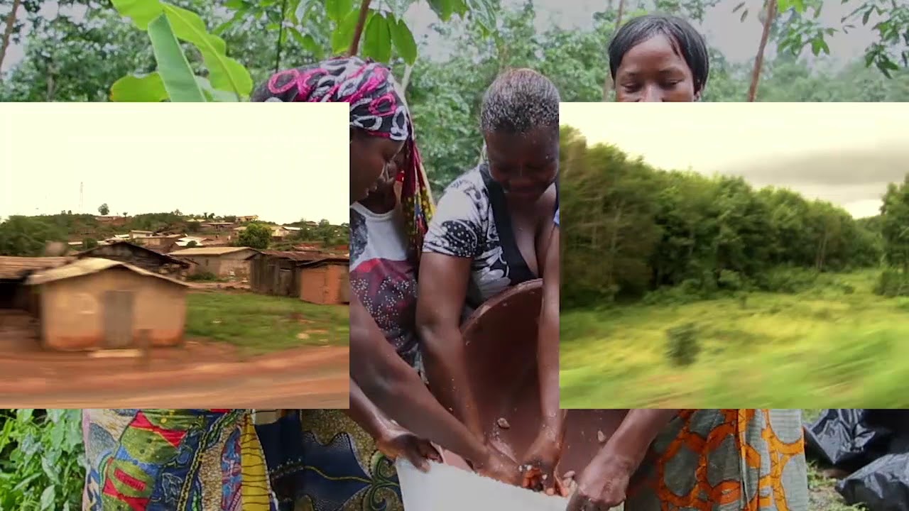 Discover CÉMOI's Transparence Cacao program