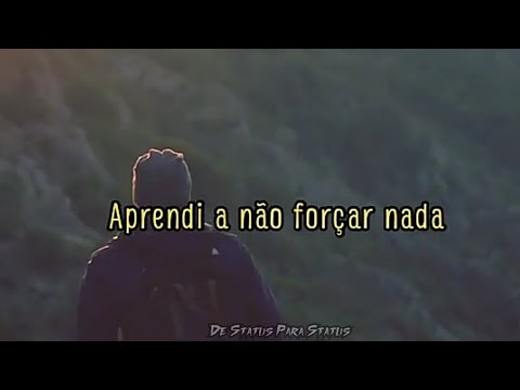 vídeo para status do whatsapp {30 segundos} - Aprendi a Não Forçar Nada #inscreva_se