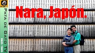 preview picture of video 'Viajando con PDGTV - Nara, Japón / Traveling with PDGTV - Nara, Japan.'