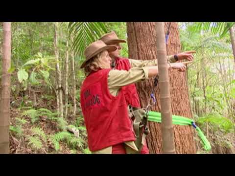 Linda & Phil Hunt For The Chest - Part 5 | I'm A Celebrity... Get Me Out Of Here!