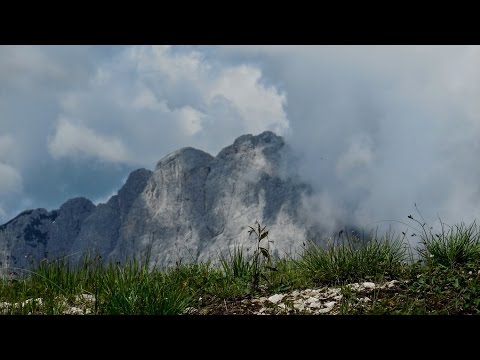 La Val Alba per il sentiero "Palis d'Arint" - 18/06/2016