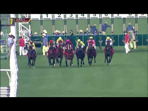 金鎗六十21/11/21……(193)第七塲二級1600米( 巡邏影片)