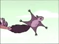 Are You Sure Captain Flamingo Intro Is In G Major