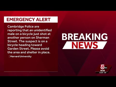 Cambridge shooting prompts security precautions on Harvard campus