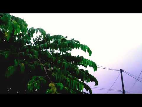 RELAXING SOUND Of RAIN/ ANTI INSOMNIA_ SLEEP FAST