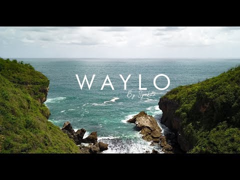 WAYLO - Cover by Nida Zahwa [Syakila Official]