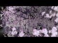 Hybrid Child OST- Syncretism (animesize ver ...