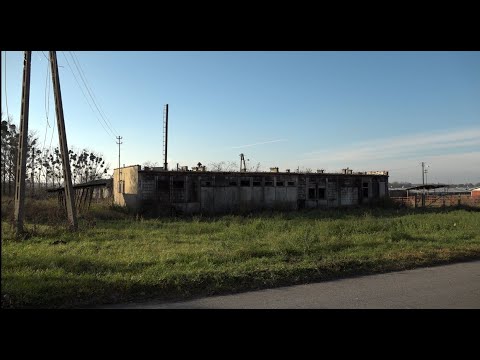 A victory for Objezierze residents? There will be no pig farm, says the mayor.