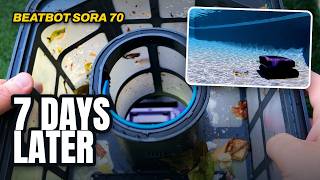 Beatbot Sora 70 - This 4-in-1 Pool Robot Will Make You Forget About Manual Maintenance