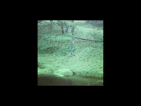 [FREE] Alex G x Fox Academy | Guitar Interlude Indie Slowcore Type Beat "soft" @prodmiercoles