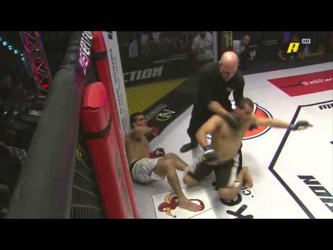 AMR WAHMAN  The Best KO