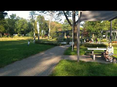 Pyskowice - 3.08.2022 - Pyskowickie dni sportu i aktywności - Wyścigi na kółkach