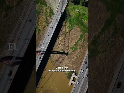 🌿 Un embalsado de vegetación quedó atascado entre el puente Colgante y el Oroño, sobre la orilla…