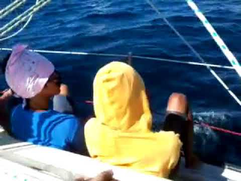 All Soul's Regatta Yacht Racing