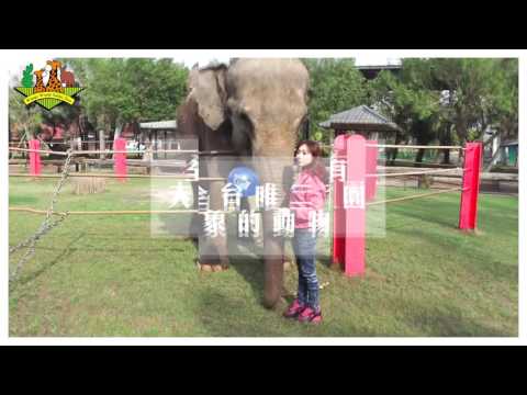 2016頑皮世界祝您新年快樂