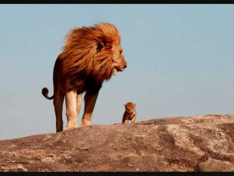 Nasio (Nasio Fontaine) - Black and Comely