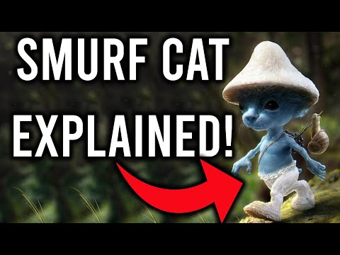 Smurf Cat EXPLAINED! (We Live We Love We Lie Cat)