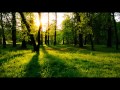 Amethystium - Ad Astra