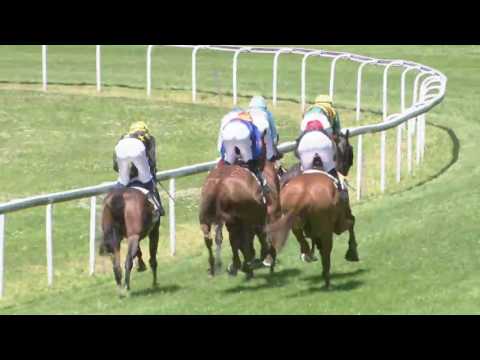 Dielsdorf/18.06.2017/Gold Cup