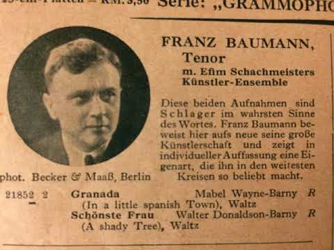 Franz Baumann mit Paul Godwin Jazz-Symphonikern, Wo finde ich das Glück, Foxtrot, 1928