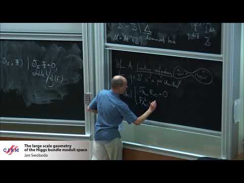 Jan Swoboda: The large scale geometry of the Higgs bundle moduli space