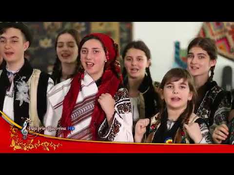 Grupul MOLDAVA - Asta-i nuntă, nu-i minciună