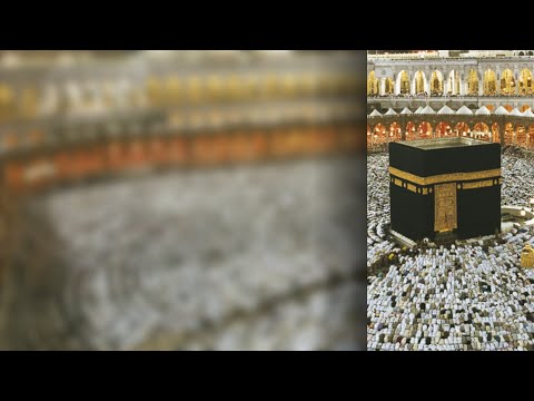 Dëshirat e të gjallëve dhe dëshirat e të vdekurve