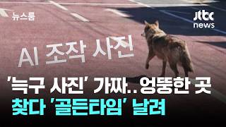 '늑구 사진' 가짜였다…엉뚱한 곳 찾다 '골든타임' 날려 / JTBC 뉴스룸
