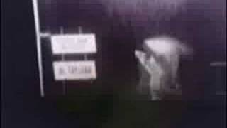 Moving Mountains - Cover the Roots, Lower the Stems