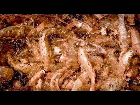 El Columpio Asesino - La niña chica (Videolyric oficial)