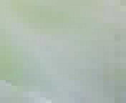 Eindsignaal Excelsior-RBC