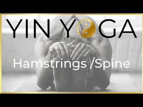Enhance Flexibility in 1 Hour: Yin Yoga for Hamstrings & Spine