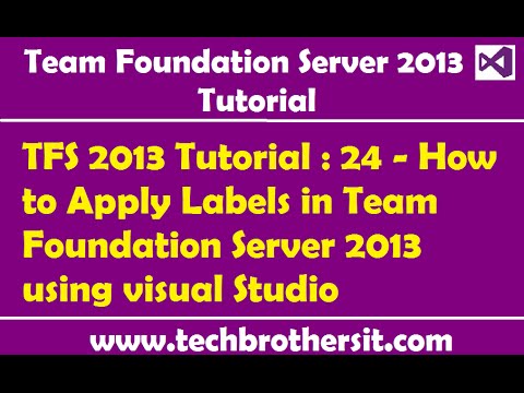 TFS 2013 Tutorial : 24 - How to Apply Labels in Team Foundation Server 2013 using visual Studio