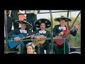 The Wiggles El Pato Isolated Guitars
