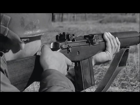 Weaponology - "M14 Rifle"