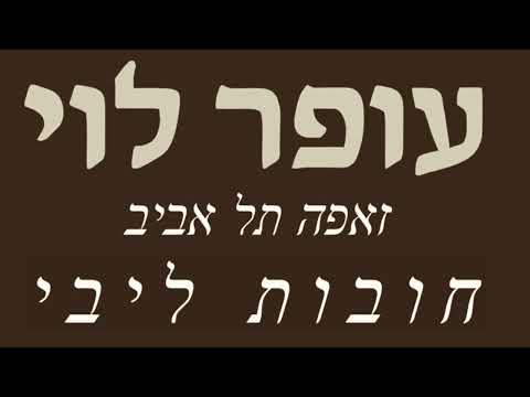 חובות ליבי