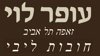חובות ליבי