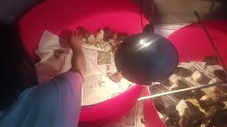 Download lagu Ania# #viralvideo mp3 Download lagu Ania# #viralvideo mp3
