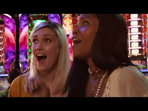 Harrington Brand Spot 2019